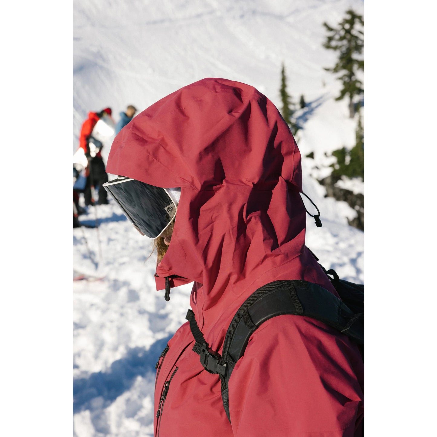 686 Womens GORE-TEX Skyline Thermagraph Jacket