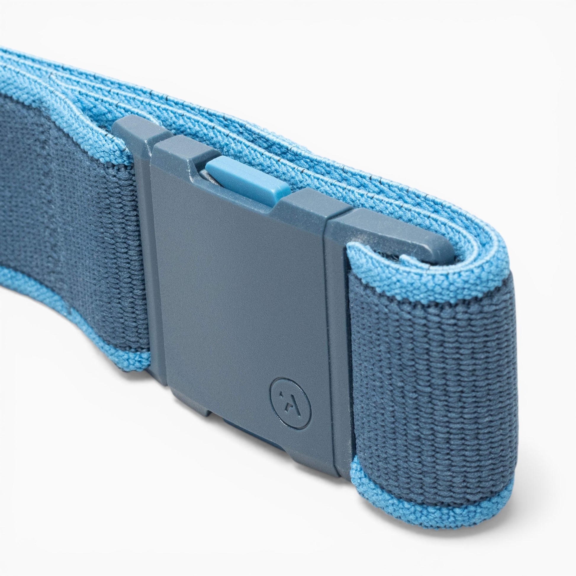 Arcade Carto Belt in Royal/Tide — buckle, back