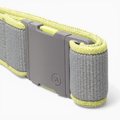 Arcade Carto Belt in Shadow/Clover — buckle, back
